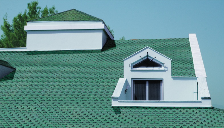 Dikili profesyonel Şed Çatı – Shingle cati örneği